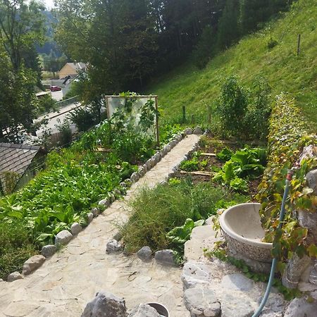 Natur Apartma Rudi بيغونيي نا غورينيسكِ المظهر الخارجي الصورة