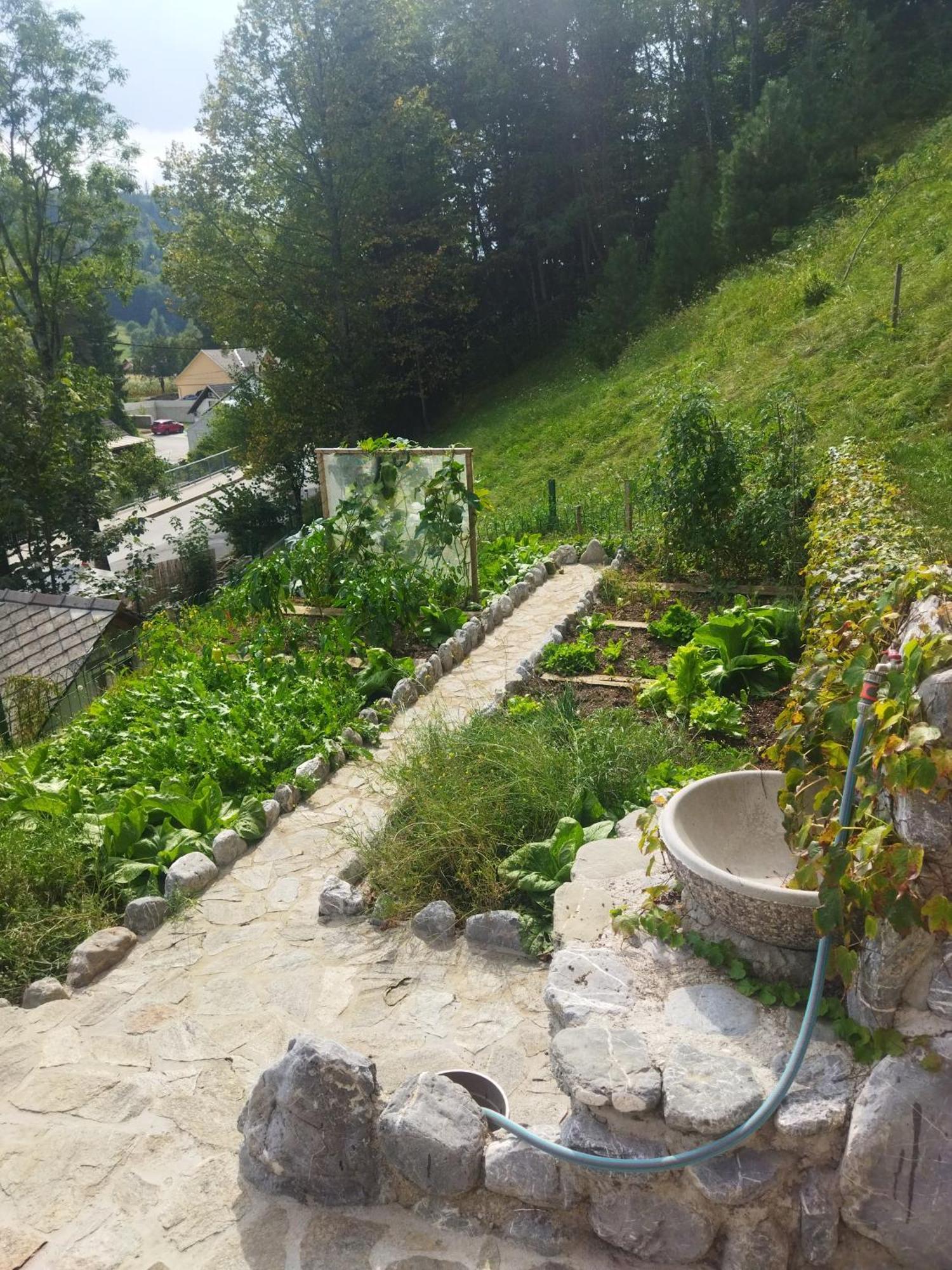 Natur Apartma Rudi بيغونيي نا غورينيسكِ المظهر الخارجي الصورة